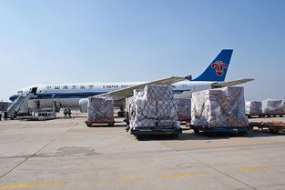 南航北方貨運部旺季銷售旺，節前安全保障與貨運代理服務并重