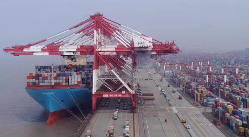 上海口岸或迎報復性出貨潮，貨代兇猛報關再現